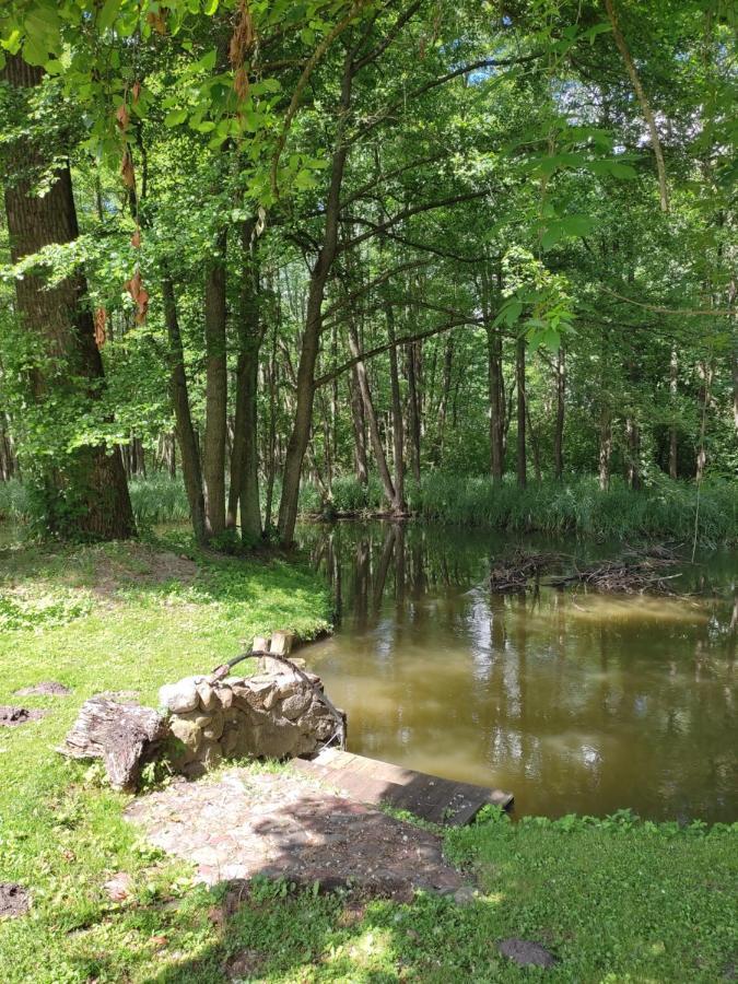 Agroturystyka Kajaki Sauna Pierogi Bakalarzewo Buitenkant foto